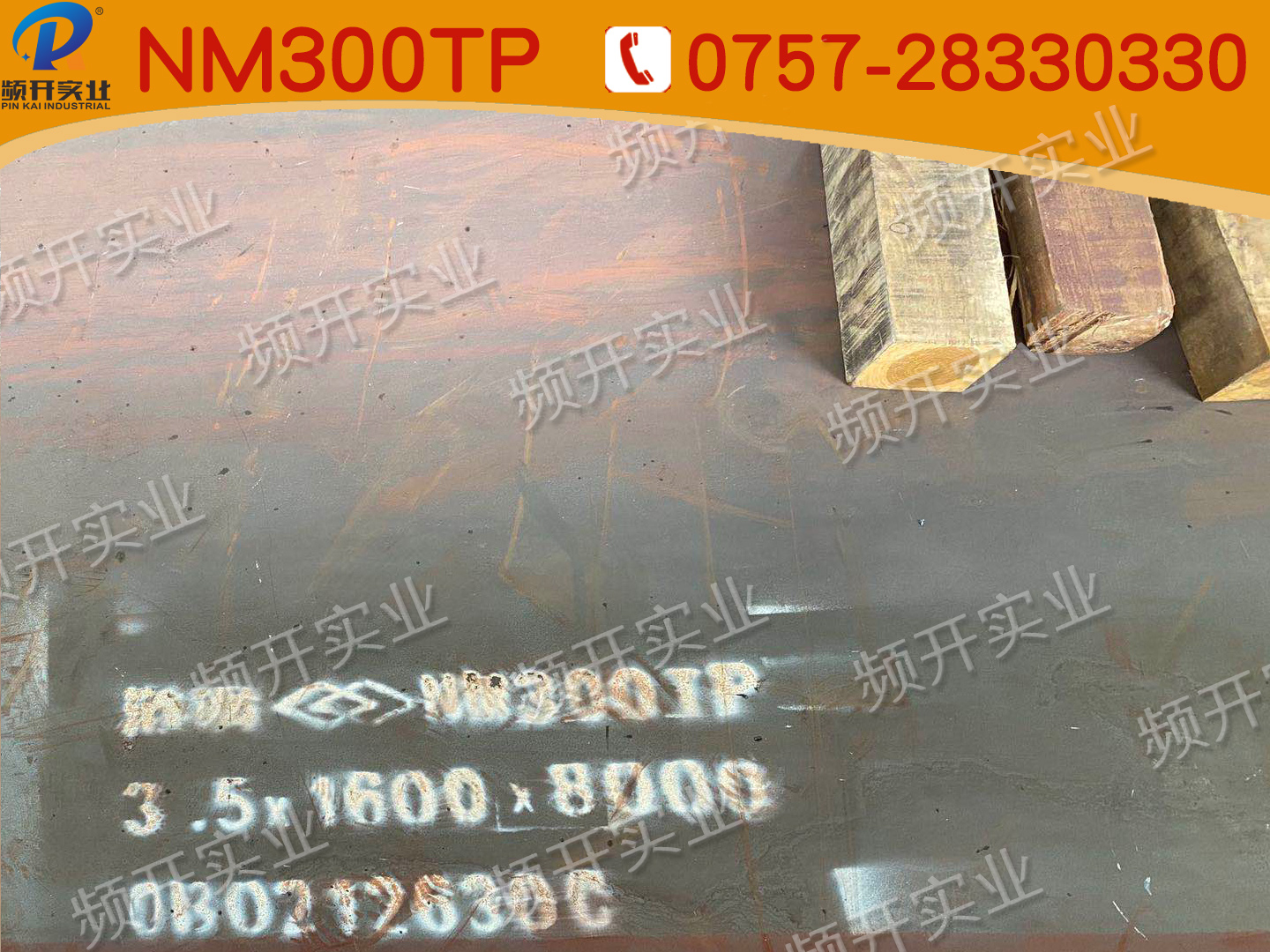 NM300TP